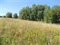 užovka stromová (12.6.2014)